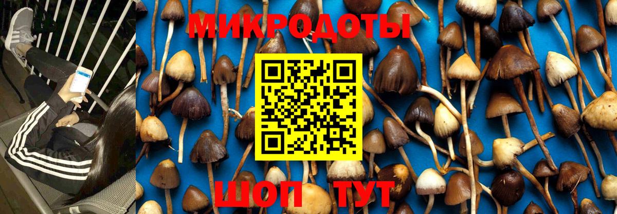 Псилоцибиновые грибы MAGIC MUSHROOMS Гуково