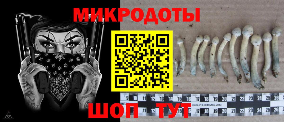 Галлюциногенные грибы мицелий  Вход с VPN  Гуково 